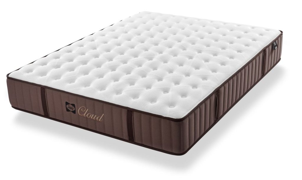 Sealy Cloud