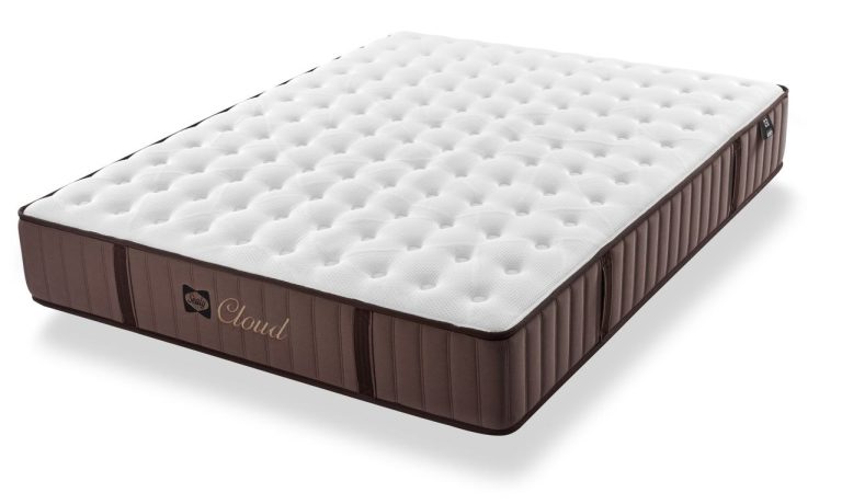 Sealy Cloud